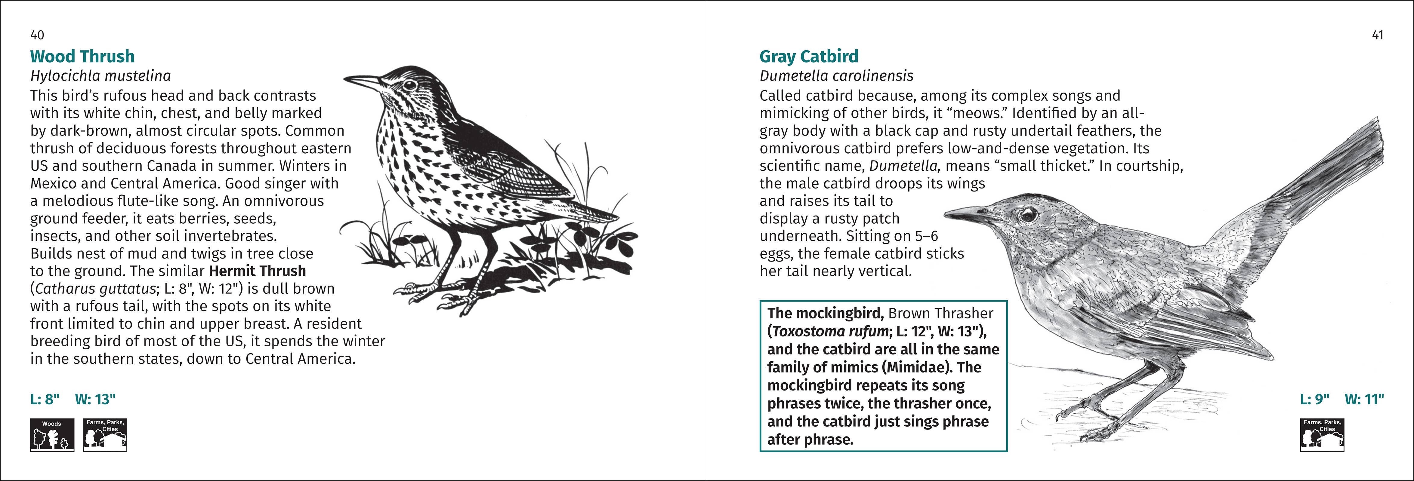 AdventureKEEN - Wholesale Nature & Outdoors - Bird Finder 2e6