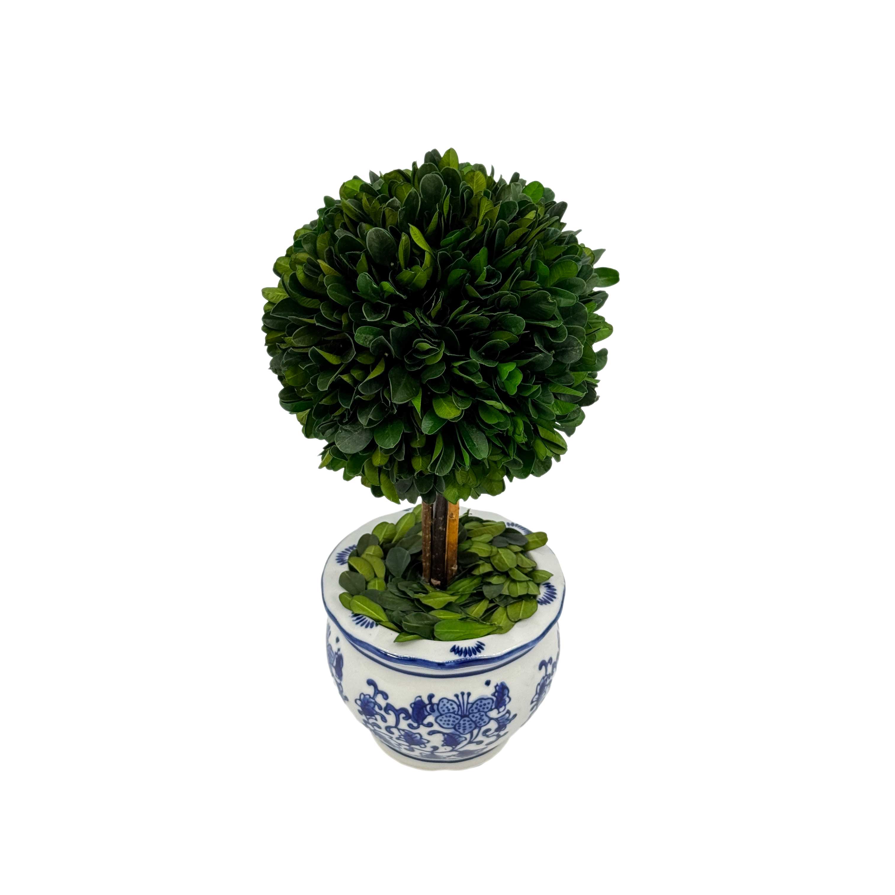 Galt International Company - Vente Plantes artificielles - Arbre topiaire en boule de buis dans un pot rond en céramique bleu et blanc14