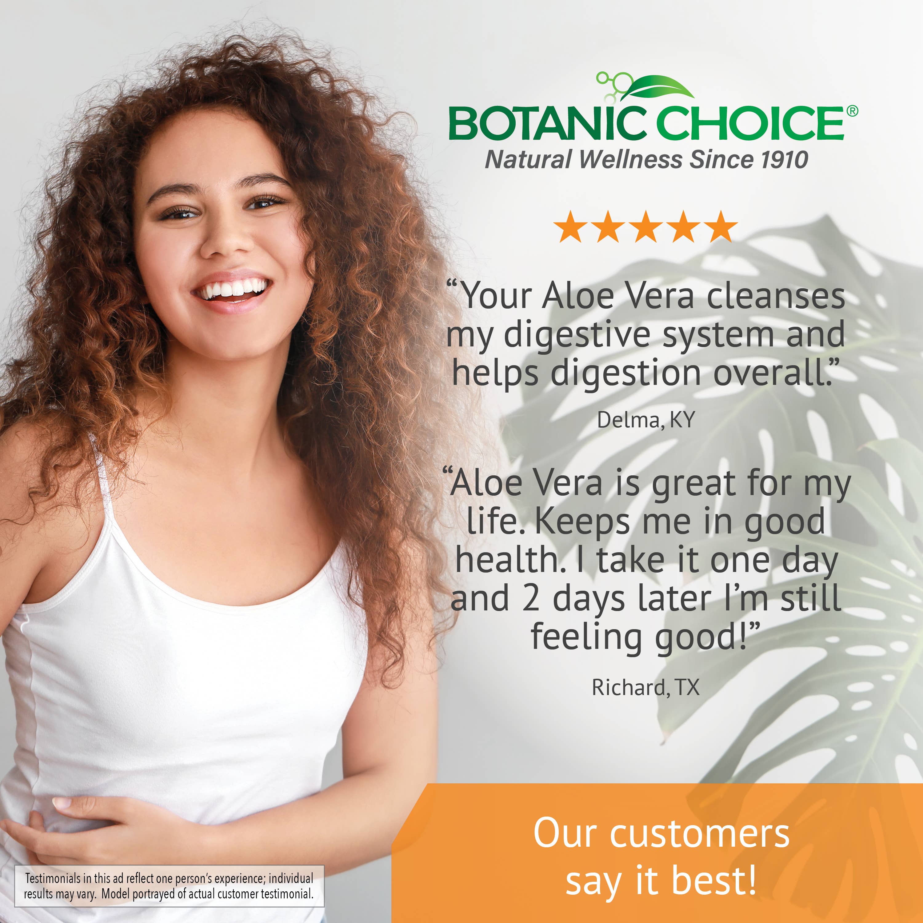 Botanic Choice - Wholesale Oral Supplement/Vitamin - Botanic Choice Aloe Vera 500 Mg - 90 Capsules6