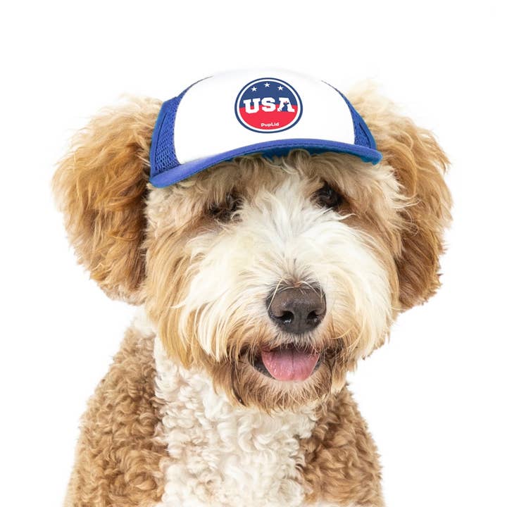 PupLid – wholesale Hatt - Hund – USA Stars Design l Truckerhatt för hundar12