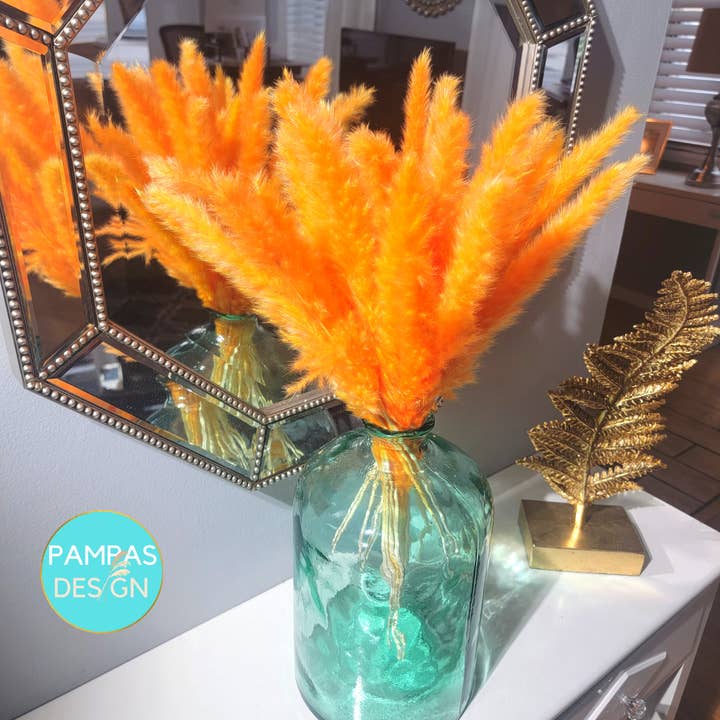 Pampas Design – wholesale Torkade/pressade blommor – Pampas Grass Orange 30 Stammar