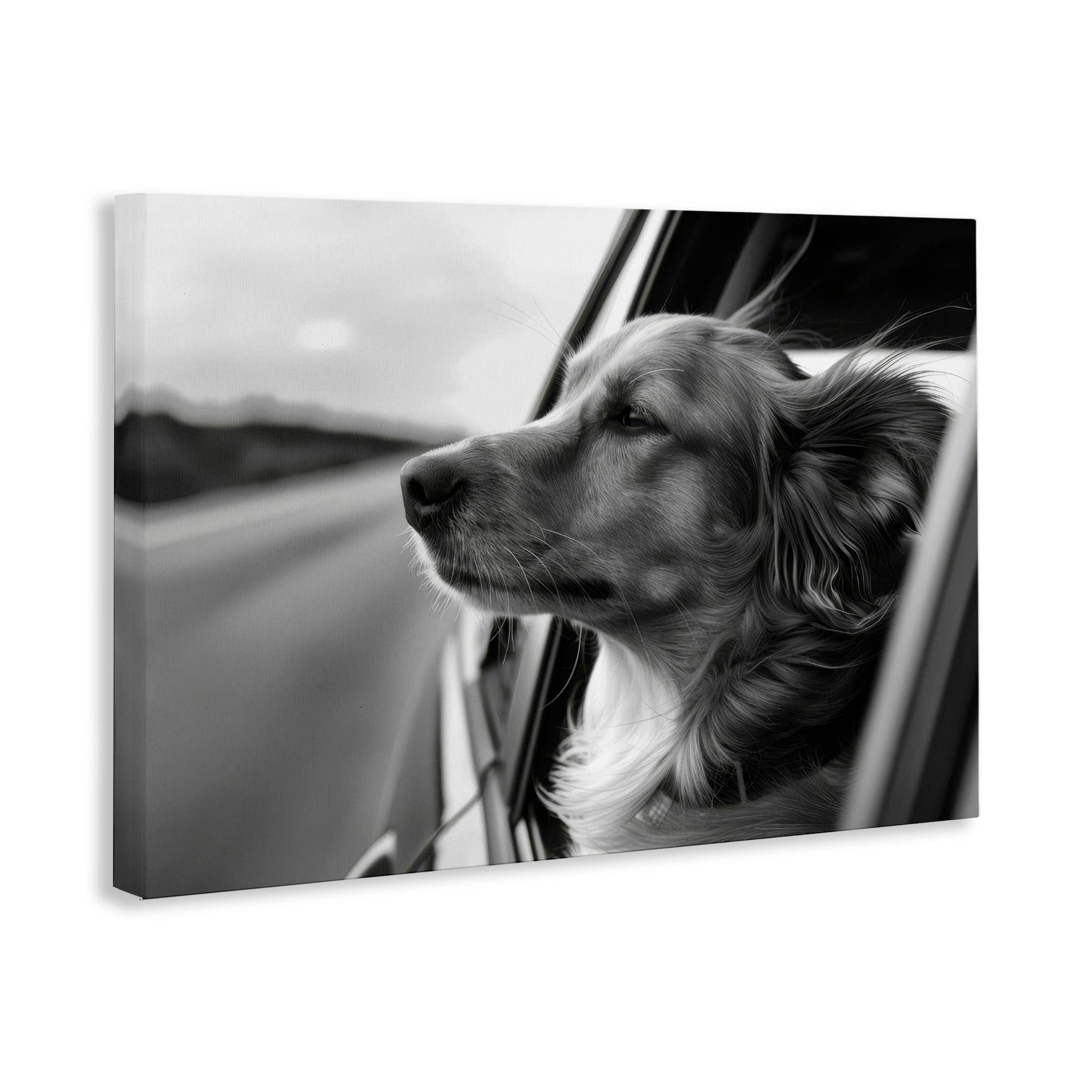 Stupell Industries - Wholesale Wall Sign - Dog Out Car Window - Unframed Wall Art10