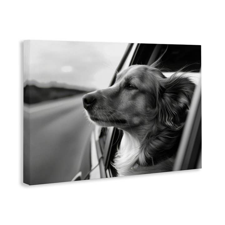 Stupell Industries - Wholesale Wall Sign - Dog Out Car Window - Unframed Wall Art10