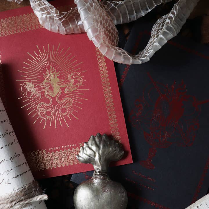 Open Sea – Großhandel Notizbücher – Ferox Femina II Notizbuch