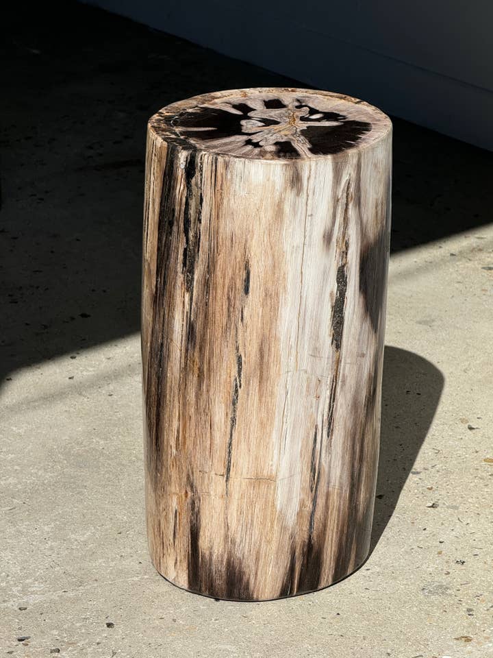 Beistelltisch aus mehrfarbigem versteinertem Holz H:45 D:22-23 für den Großhandel von Office Objets