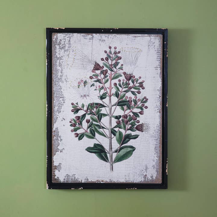 CTW Home Collection - Wholesale Art Print - Botanical Olive Branch Wall Decor
