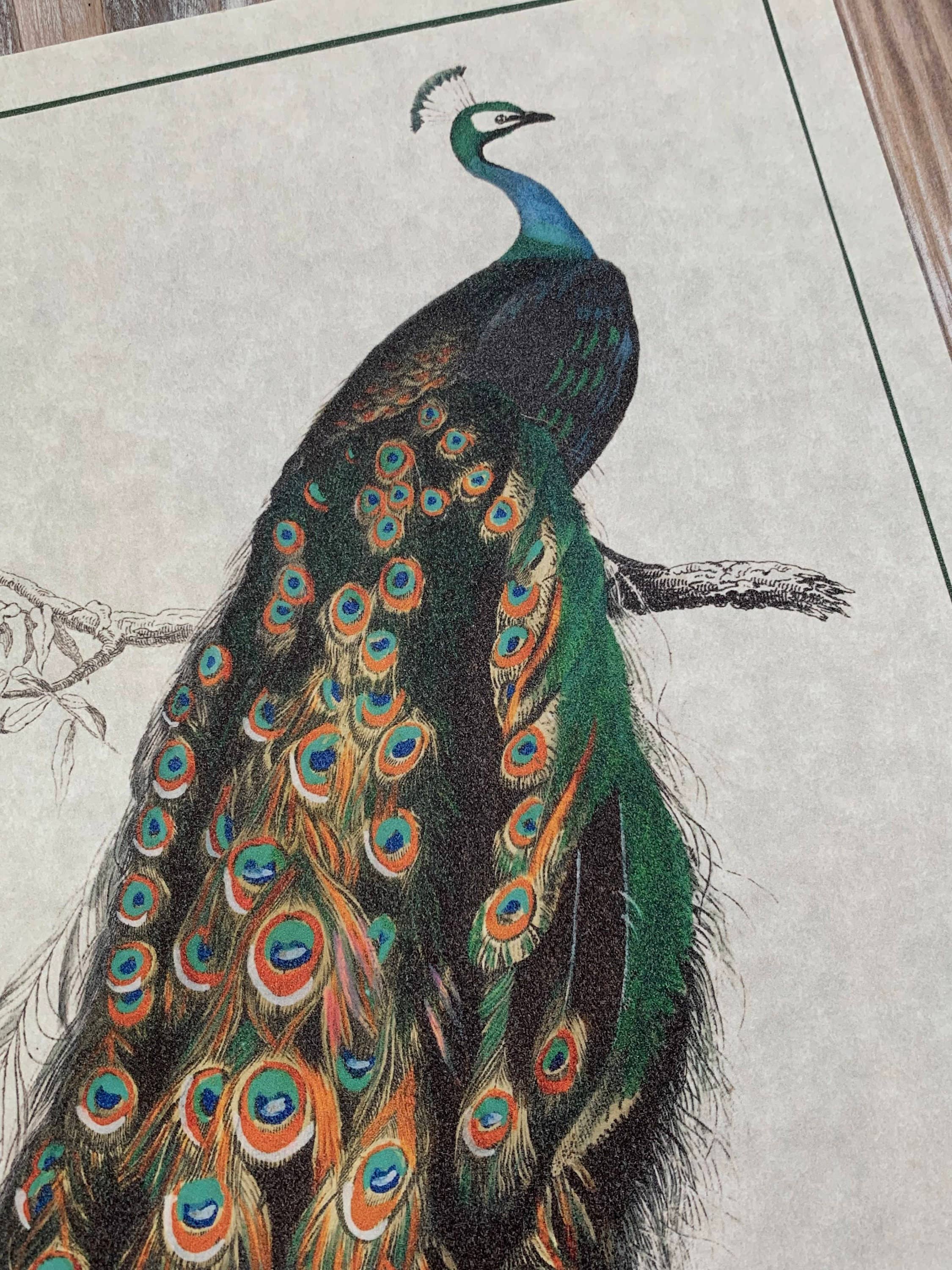 Magnifique Hearts – Großhandel Kunstdruck – Kunstdrucke im Vintage-Stil mit Pfauenmotiv Wanddekoration Pergamentpapier2