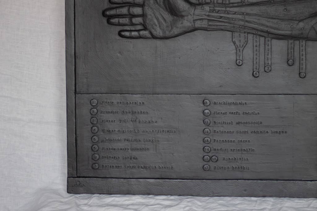 dellsculpture - Wholesale Sculpture - ANATOMICAL ARM6