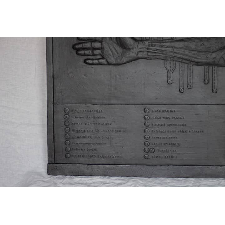 dellsculpture - Wholesale Sculpture - ANATOMICAL ARM6