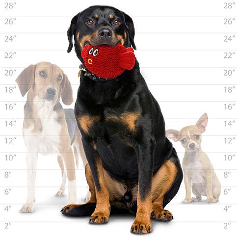 Tuffy Dog Toys - VIP Products - Wholesale Pet Squeaky Toy - Dog - Mighty Microfiber Ball Blowfish, Durable, Squeaky Dog Toy