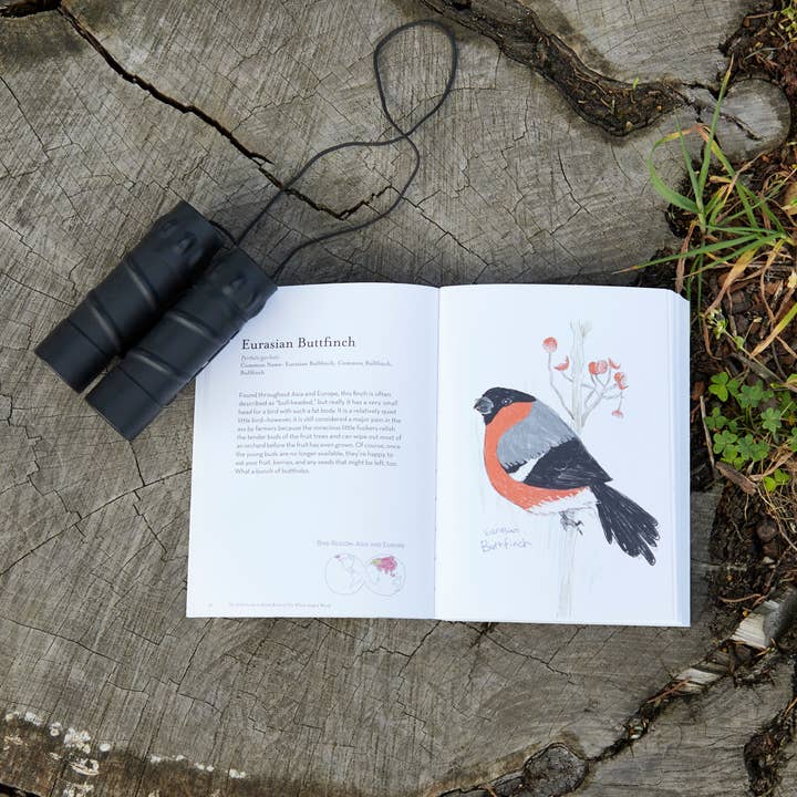 Chronicle Books - Wholesale Humor - The Field Guide to Dumb Birds of the Whole Stupid World3