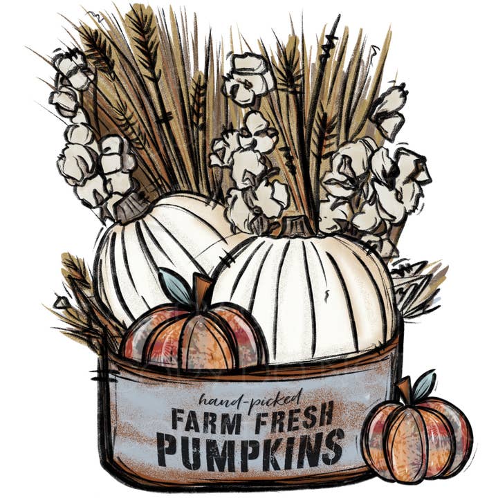Farm Fresh Pumpkins Transfer Sheet for wholesale by PLT Wholesale