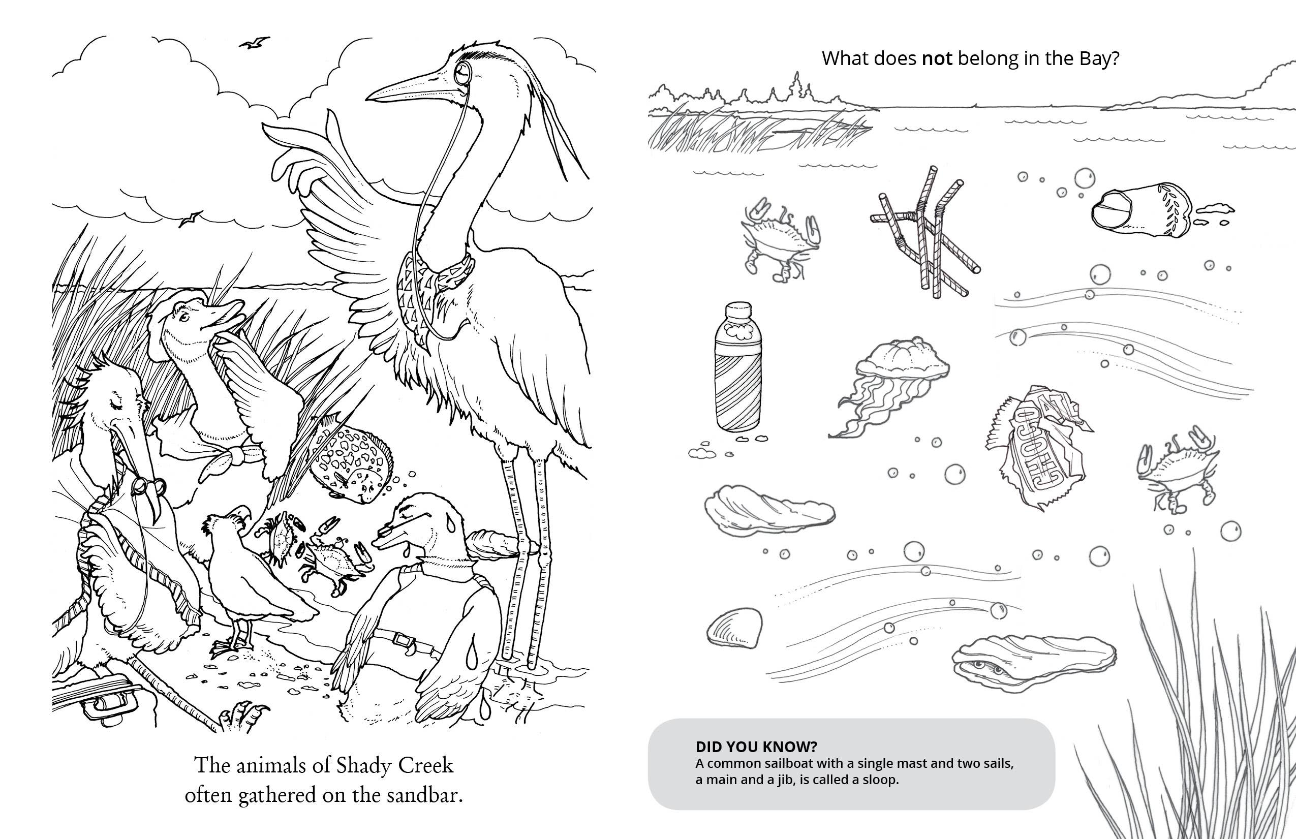 Schiffer Kids - Wholesale Coloring & Activity Book - Kids & Baby - Chadwick Activity Book4