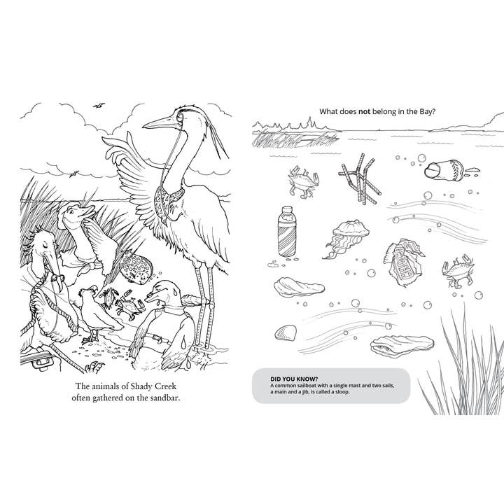 Schiffer Kids - Wholesale Coloring & Activity Book - Kids & Baby - Chadwick Activity Book4