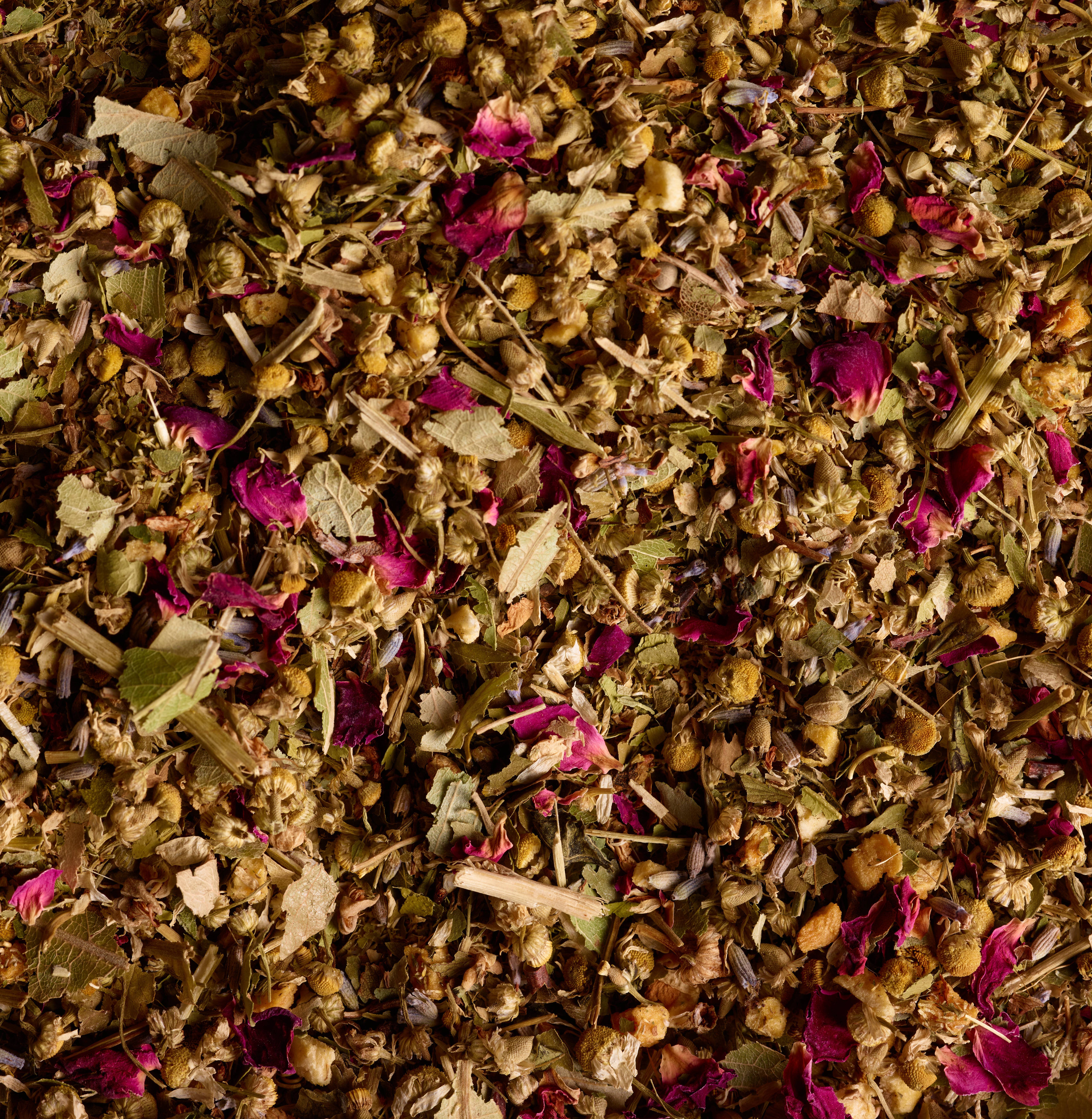 Lab Tonica - Wholesale Health/Detox Tea - Unplugged Herbal Tea4