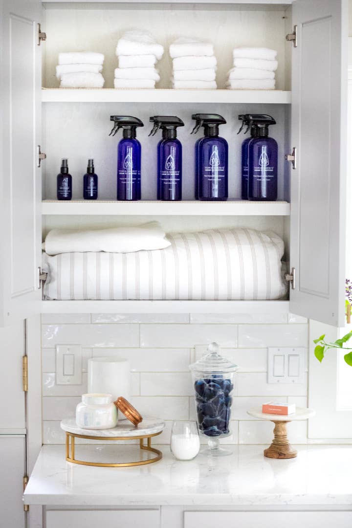 Tom & Sheri's Iron in a Bottle – Großhandel Sprühflaschen – 32 oz Eisen in einer Flasche- Koffer5