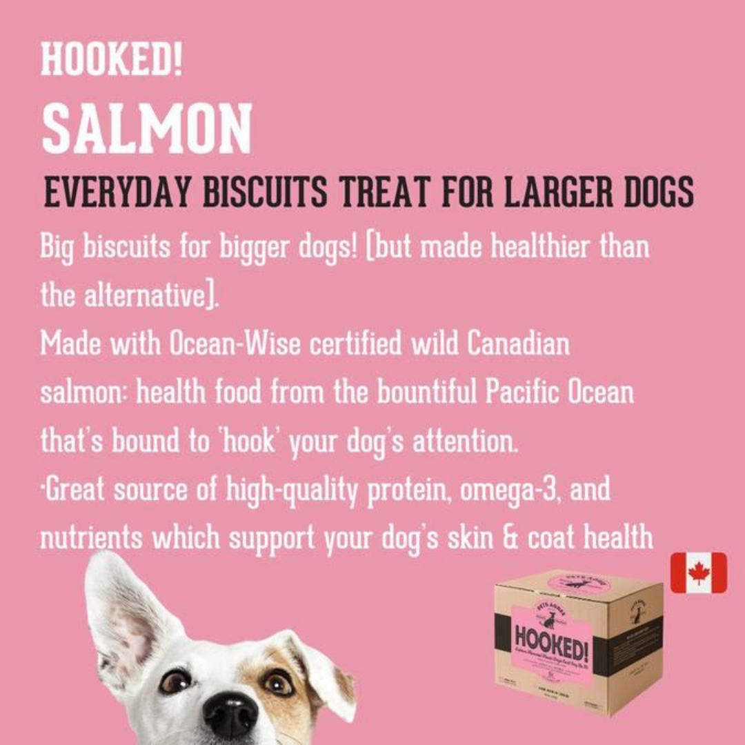 The Granville Island Pet Treatery (Canada) - Vente Friandises – chien - Biscuits pour chiens Wild Salmon Regular : nettoyage des dents, 2 lb1