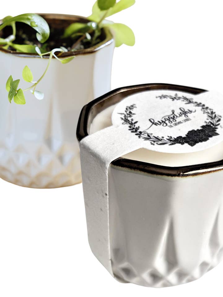 Astrid | Growing Candle, flower seed-label, eco-friendly and other Purchase Wholesale astrid. Free Returns & Net 60 Terms on Faire trending on Faire.