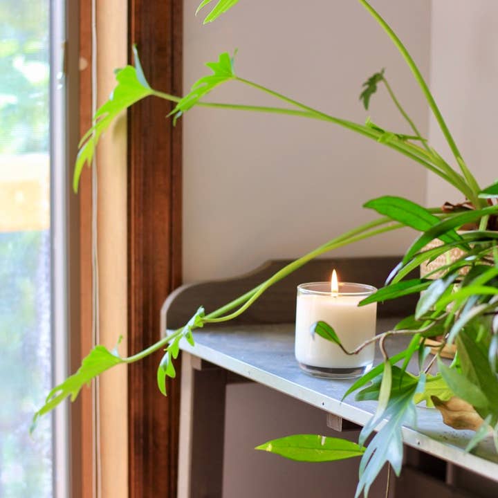 The Rustic House - Wholesale Jar/Filled Candle - Blank Soy Candles | Custom Clear 8 oz. | Natural Pine Lid2