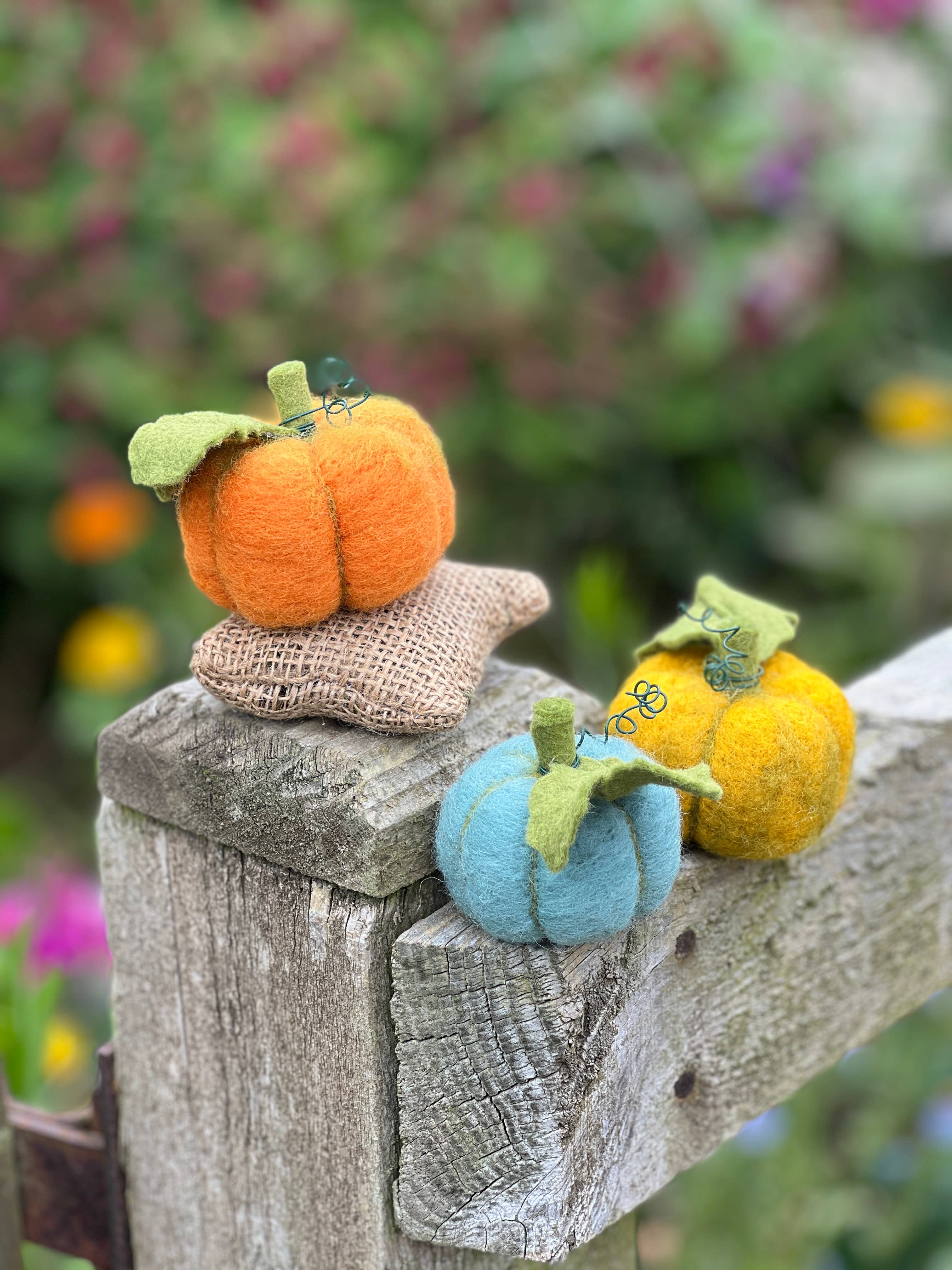 The Crafty Kit Company - Wholesale Craft Sewing Kit - Woolly Pumpkins Needle Felting Craft Kit8