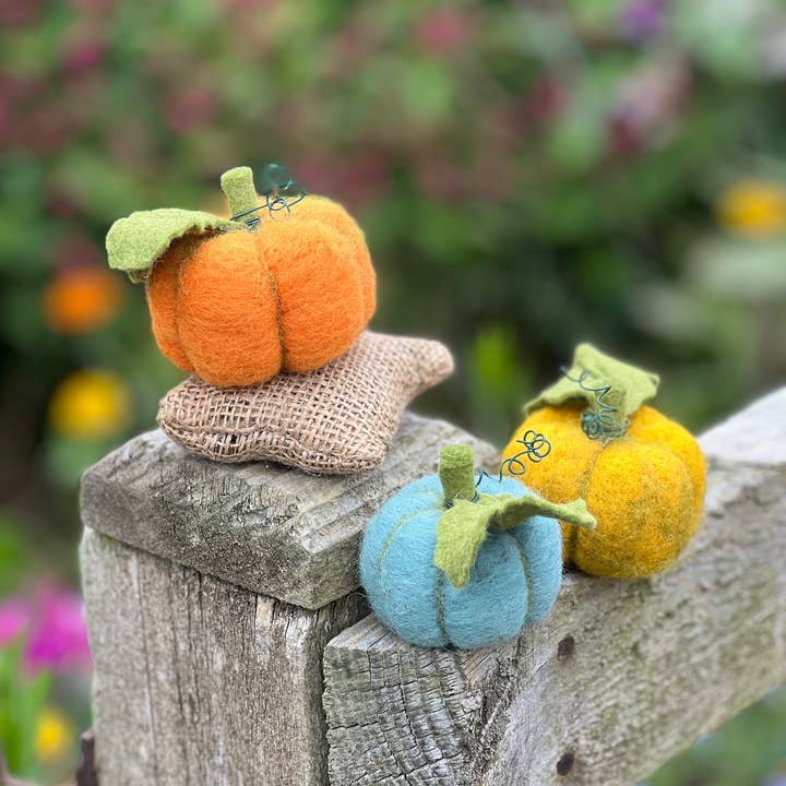 The Crafty Kit Company - Wholesale Craft Sewing Kit - Woolly Pumpkins Needle Felting Craft Kit8