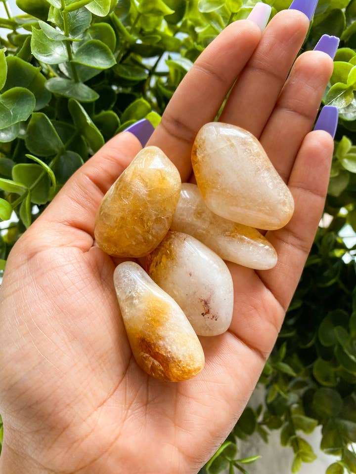 Tumbled Citrine, Ethically Sourced for wholesale by Peach and Pixie