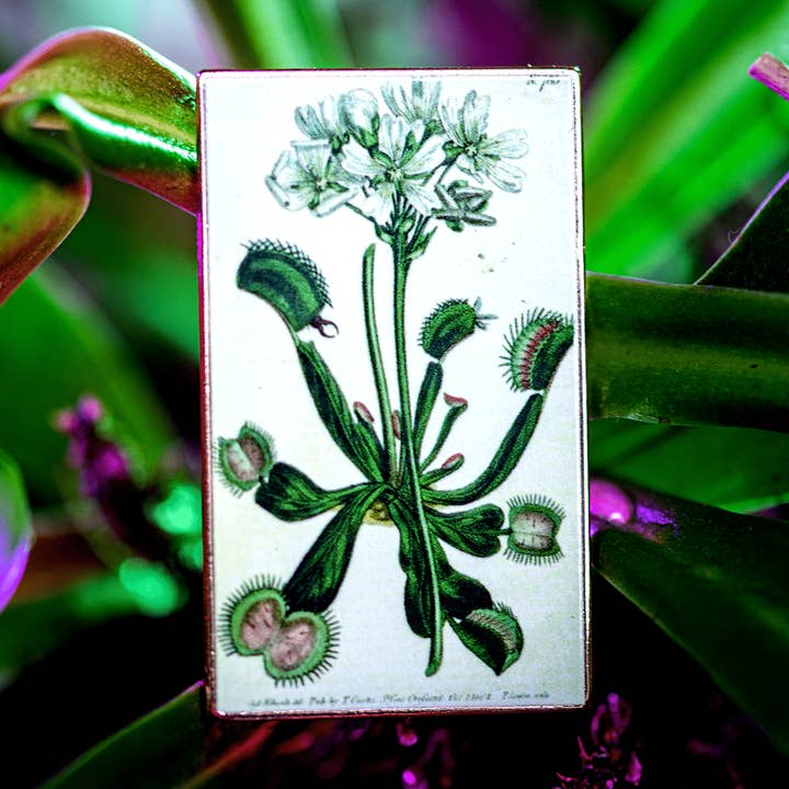 Venus Flytrap Vintage Botanical Print Pin for wholesale by The Roving House