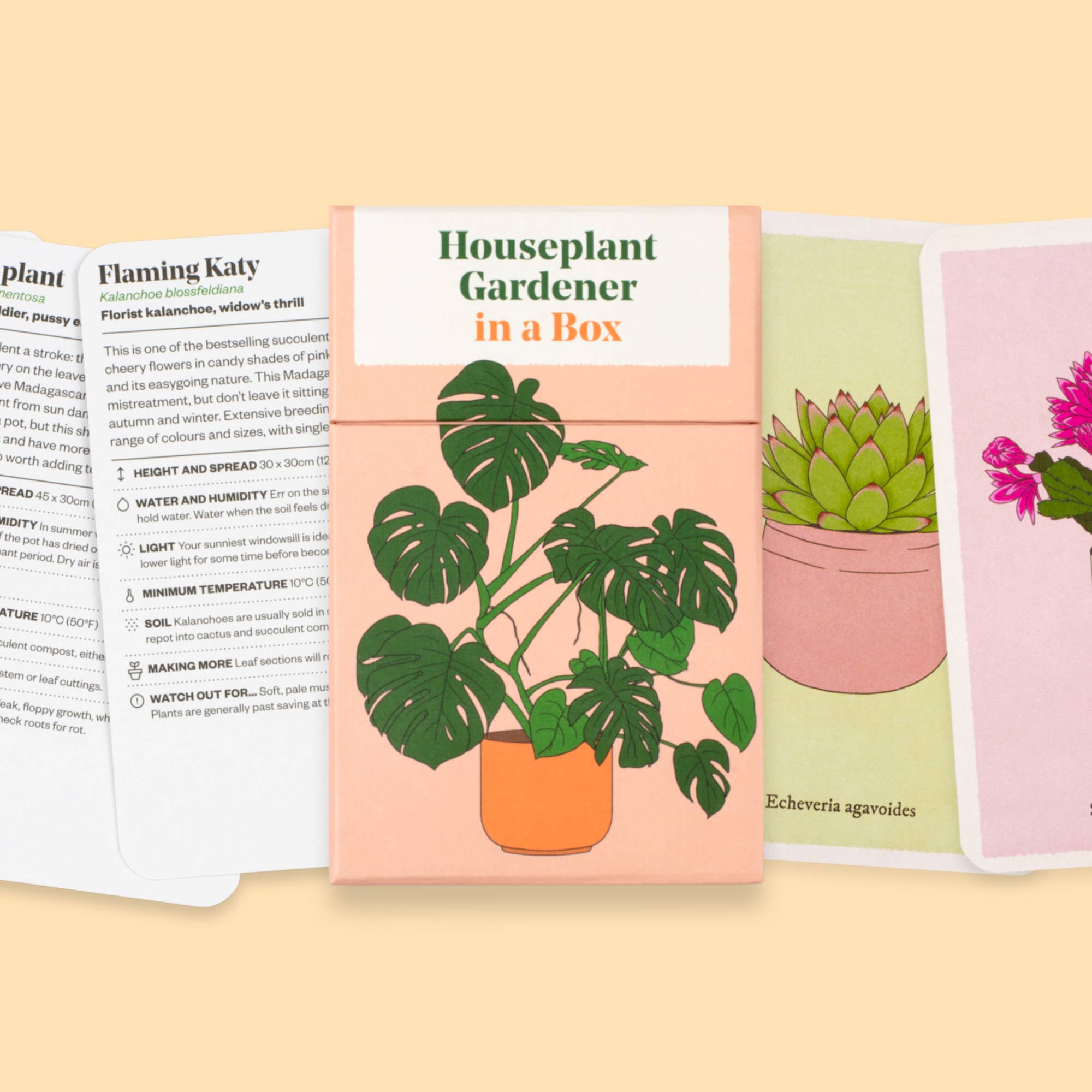 Abrams - Vente Maison et jardin - Jardinier pour plantes d'intérieur dans une boîte1