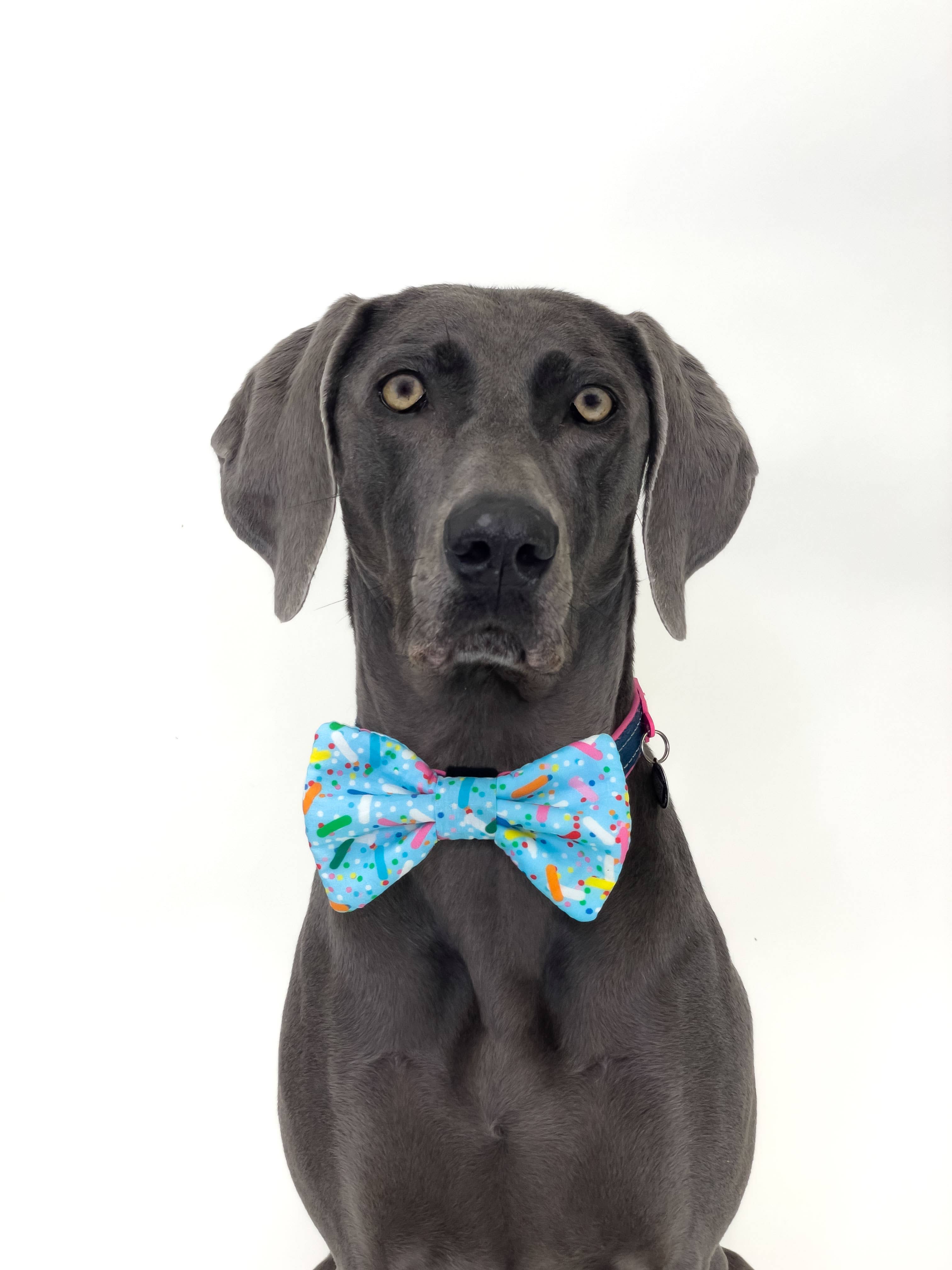 Poochie-Pets – wholesale Fluga - Hund – Southern Dog handgjorda flugor för hundar7