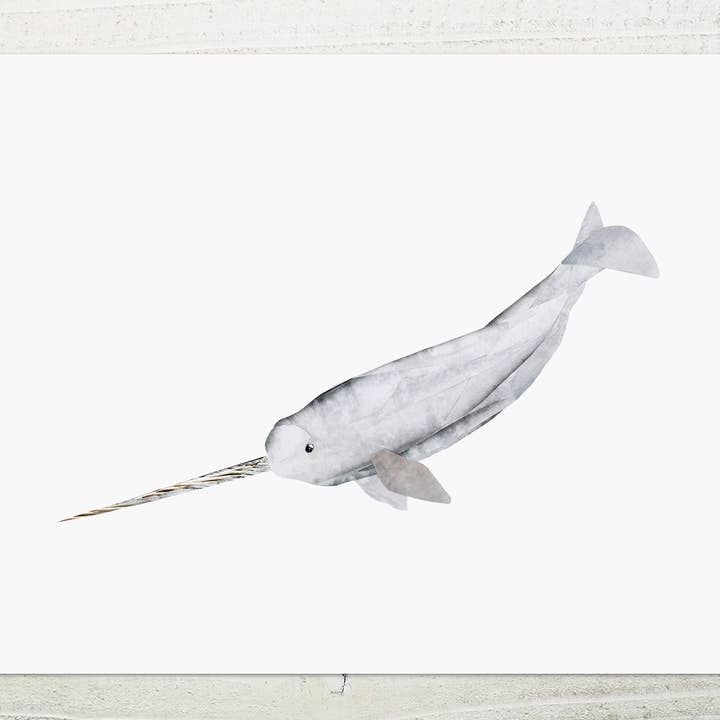 Narwhal print for wholesale by Angela Doak