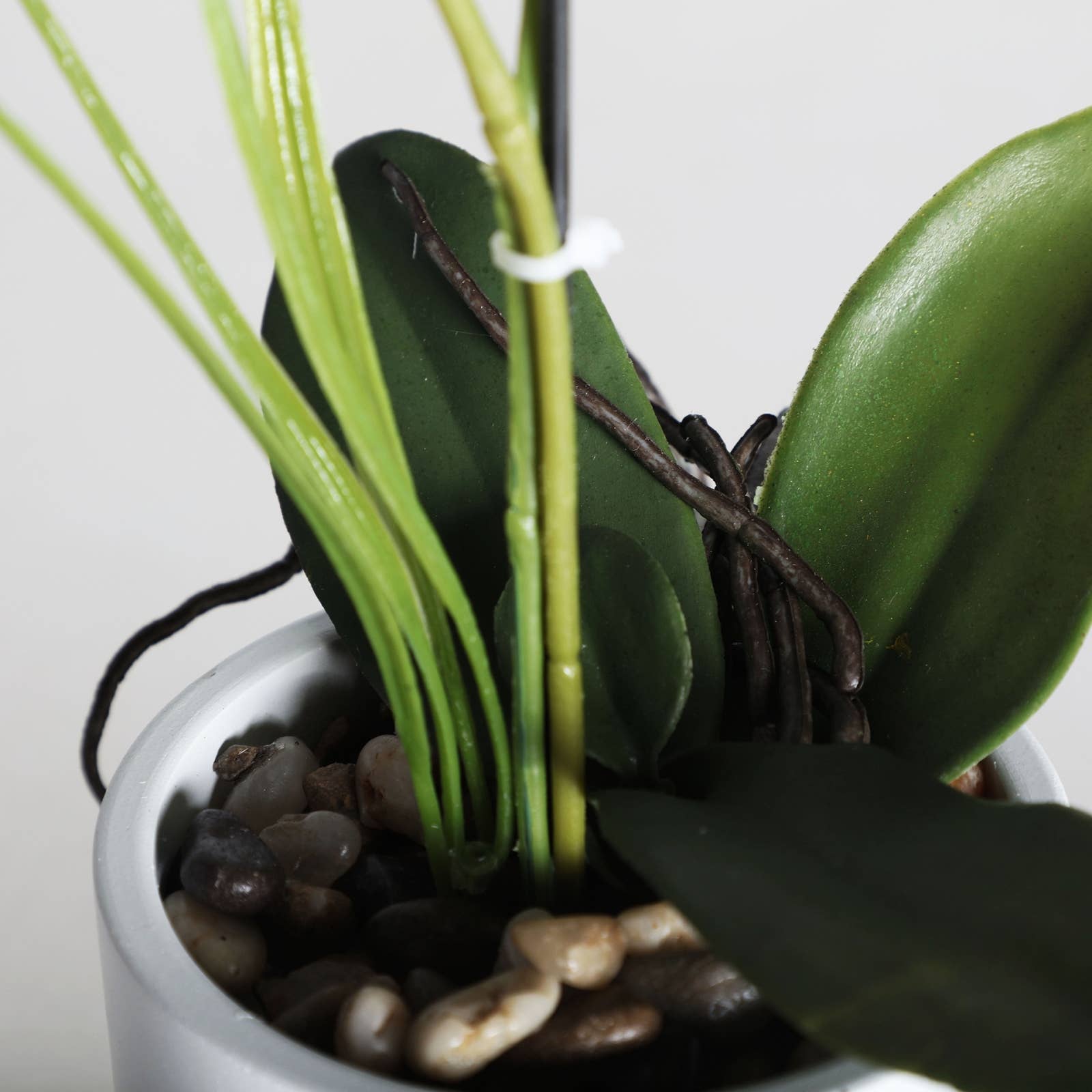 B&B - Wholesale Plant Pot - Orchid Plant, Cement, In White, 10X10X35cm2