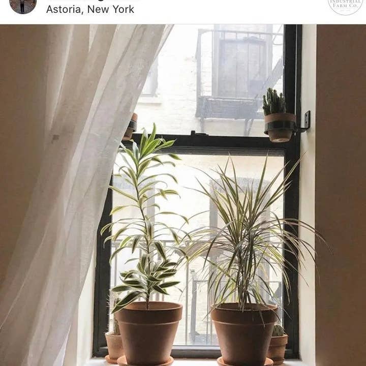 Industrial Farm Co - Wholesale Wall planter - The Hudson Wall Mounted Potholder6