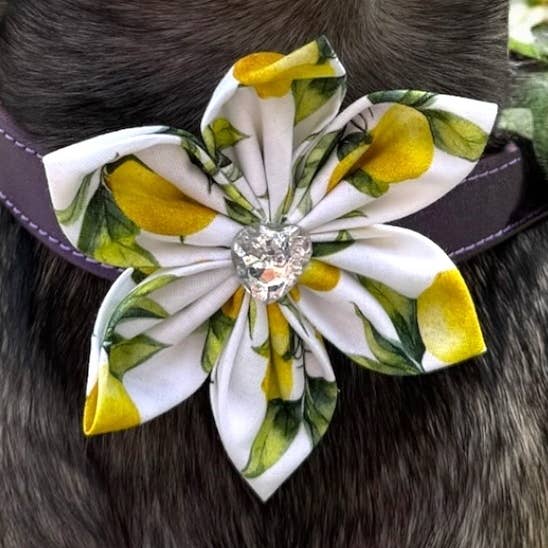 Fleurs de citron pour collier d'animal - 2 tailles - chat chien pour la vente par Storms Style