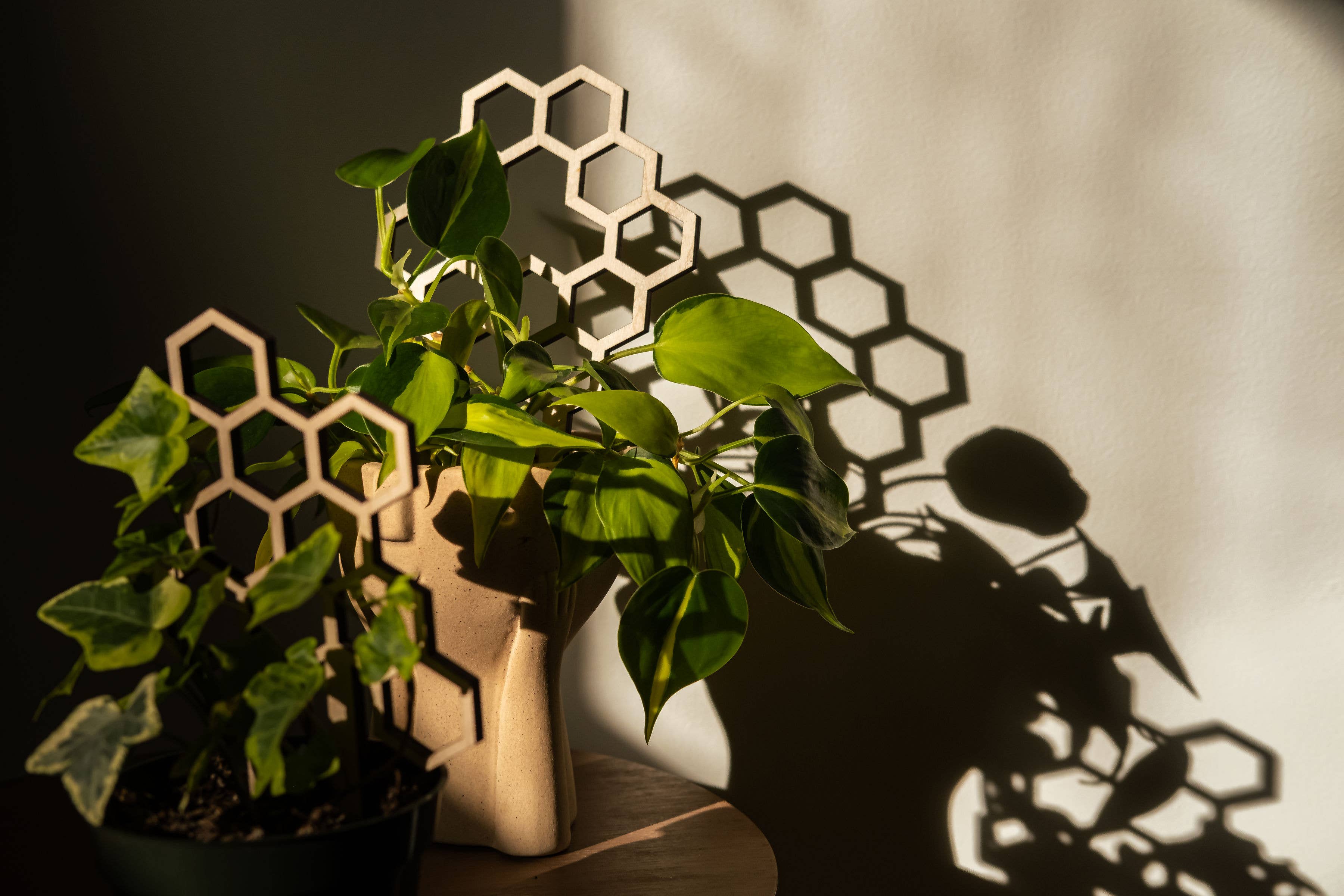 PlantsNsht – wholesale Spaljé – 7,5” Bikakestruktur Växt spaljé5