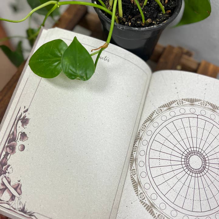 moon seeds – Engroshandel Dagbog – Moon Seeds 2025 - Årsplanlægger til selvindsigt og menstruationscyklus5