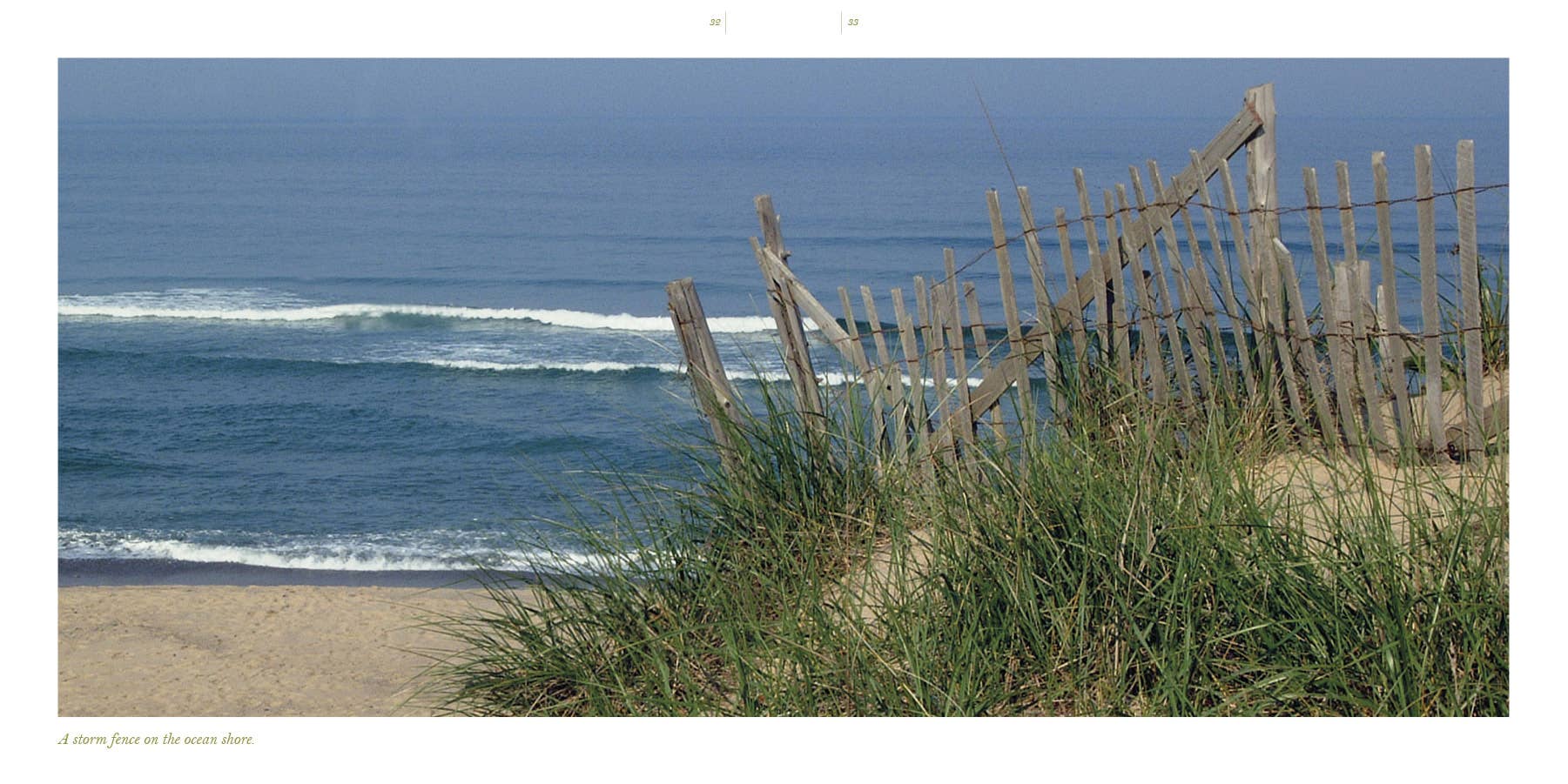 Schiffer Publishing - Wholesale Nature & outdoors book - Cape Cod along the Shore: A Keepsake4