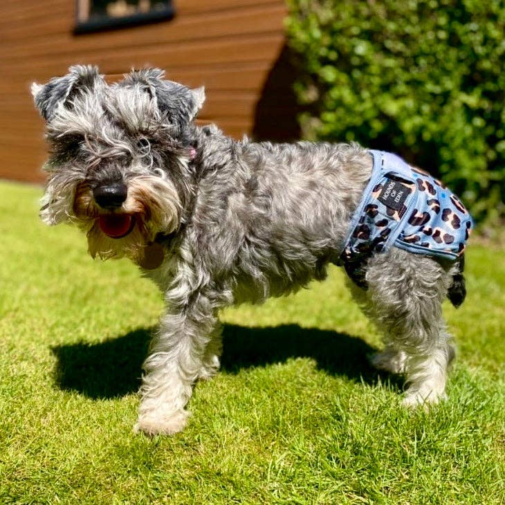 Hounds of Eden - Wholesale Pet Diaper - Dog - 'Steel Leopard' - Dog Season Hygiene Panties2