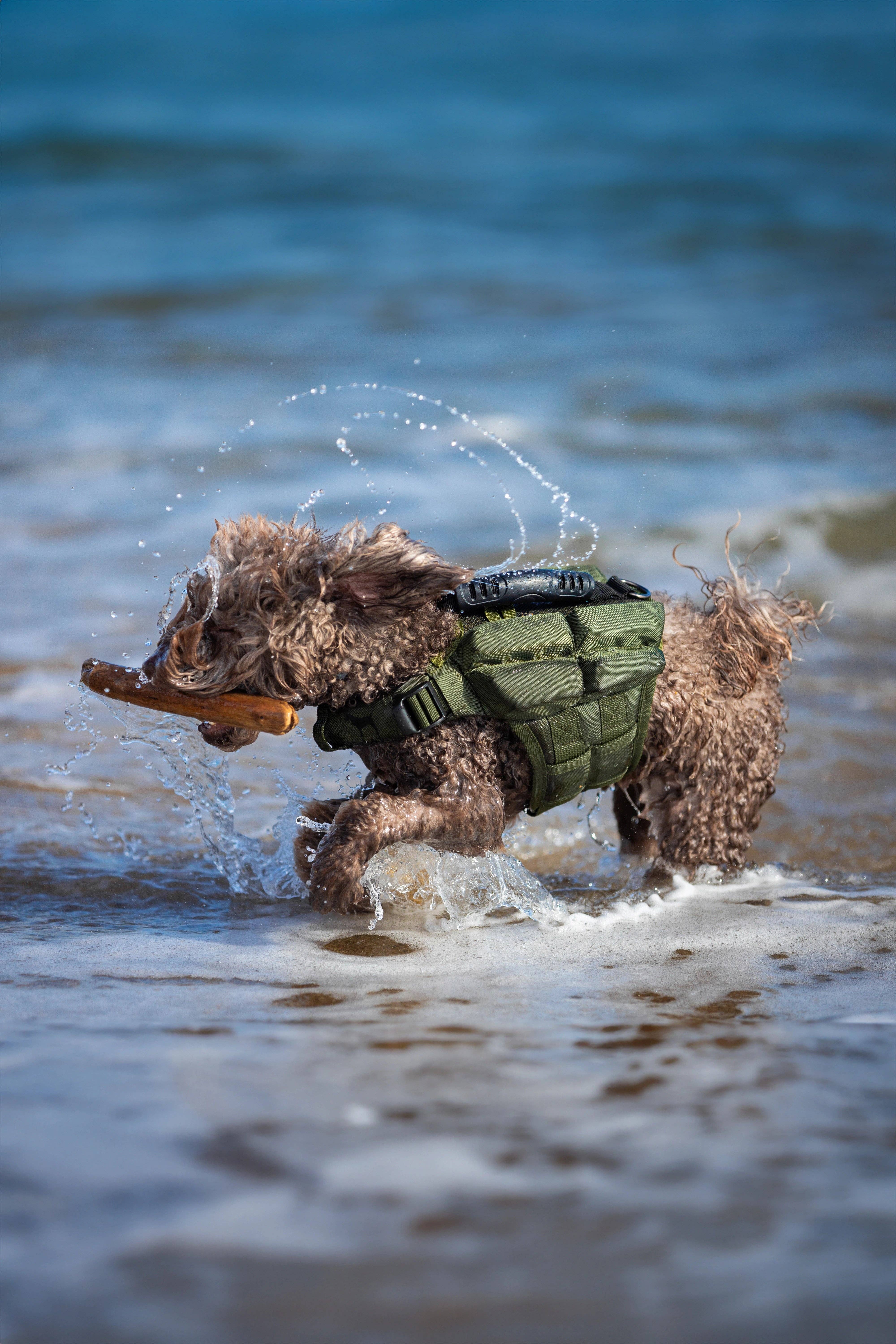 NOAH AND PAW LLC - Wholesale Pet Jacket - Dog - Human Standards Dog Lifejacket Design with 4x Foam Support for Max Floating - Green2