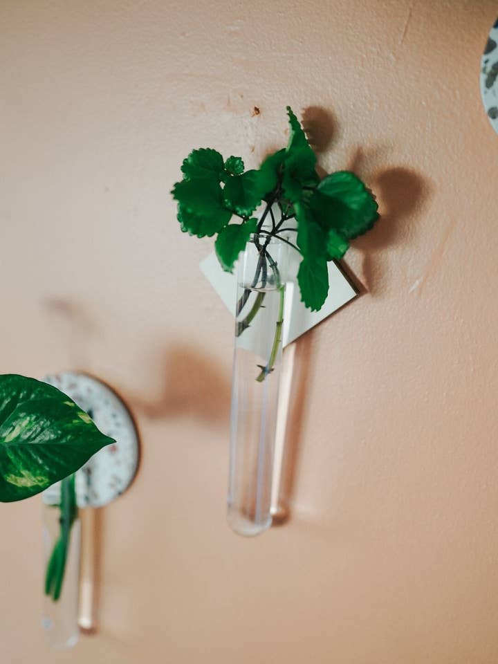 Vægmonteret formering Planter | Magnetisk formering Planter | Formering Station | Plant Wall | Reagensglas Planters | Plant gave for engroshandel hos Simply Rooted