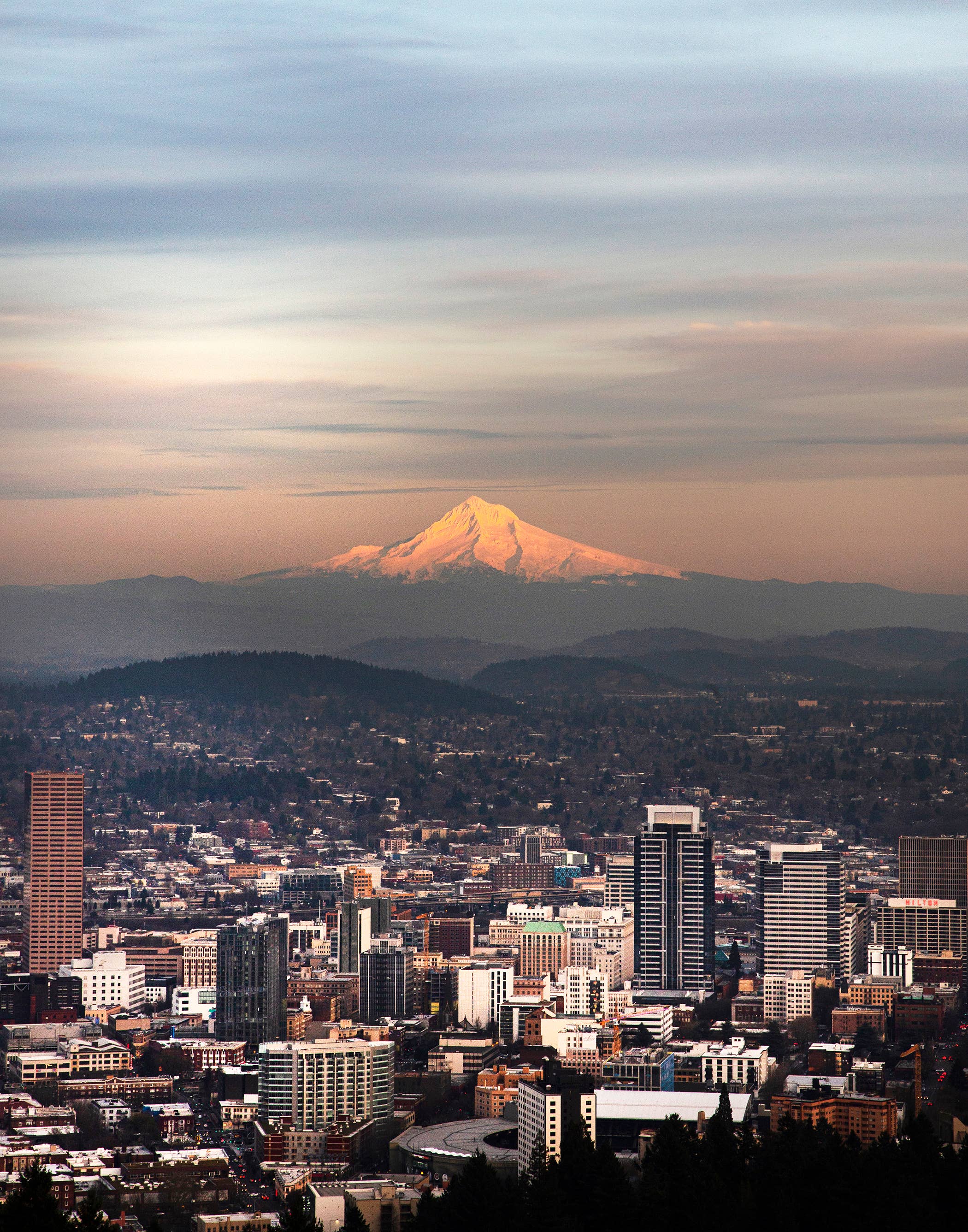 Nicole Mark Photography - Wholesale Art Print - Portland, OR Mt. Hood Art Print 12x16"1