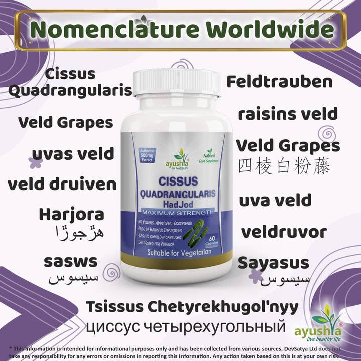 DevSatya Ltd Aushadh, Ayushya, Divyaherb - Vente Supplément oral/vitamine - Capsule Cissus Quadrangularis2
