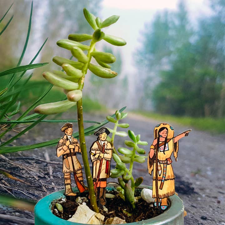 20 Leagues - Wholesale DIY Craft Kit - Corps of Discovery Fancy Plants Diorama Kit2