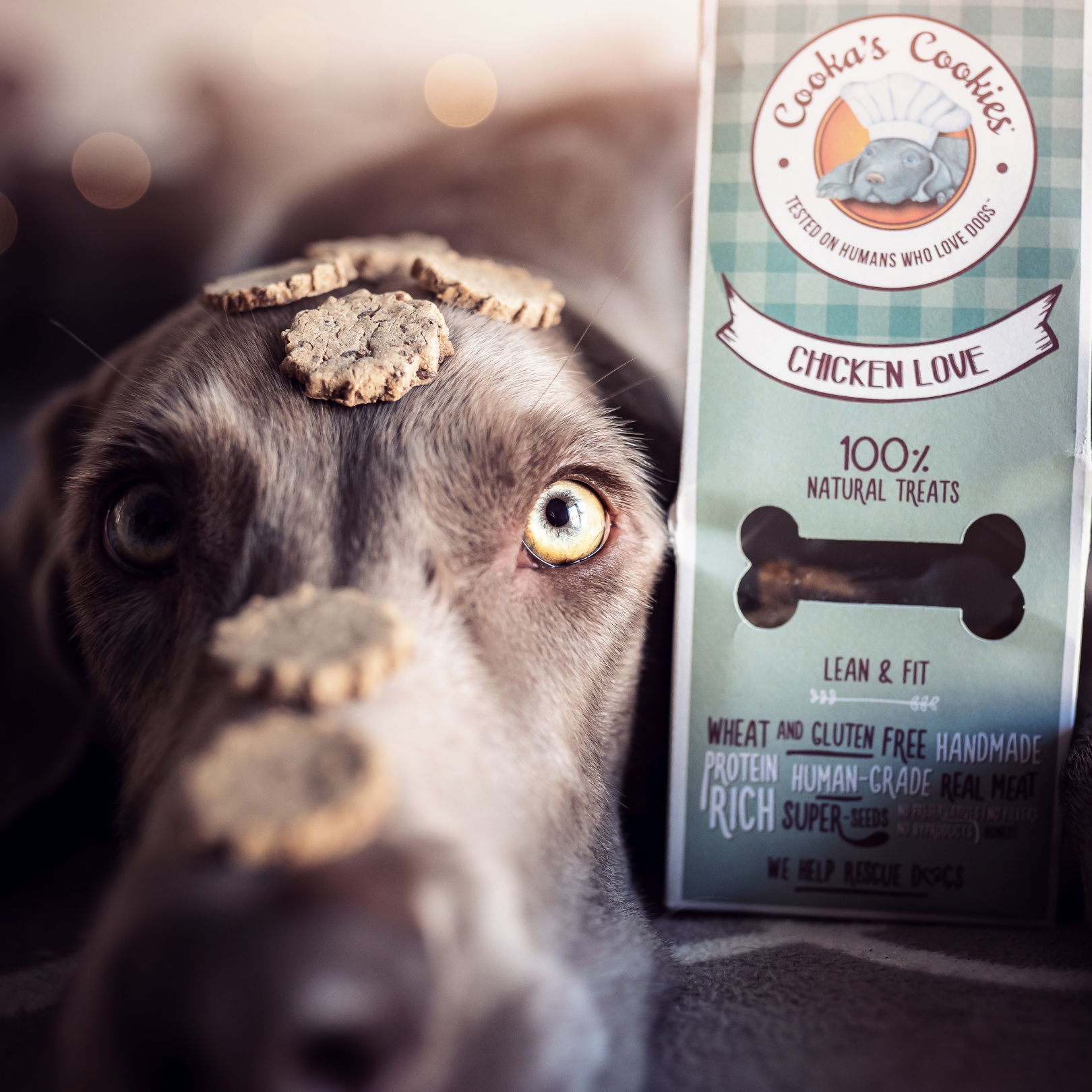 Cooka's Cookies - Wholesale Pet Treats - Dog - Chicken Love - Natural Dog Treats3