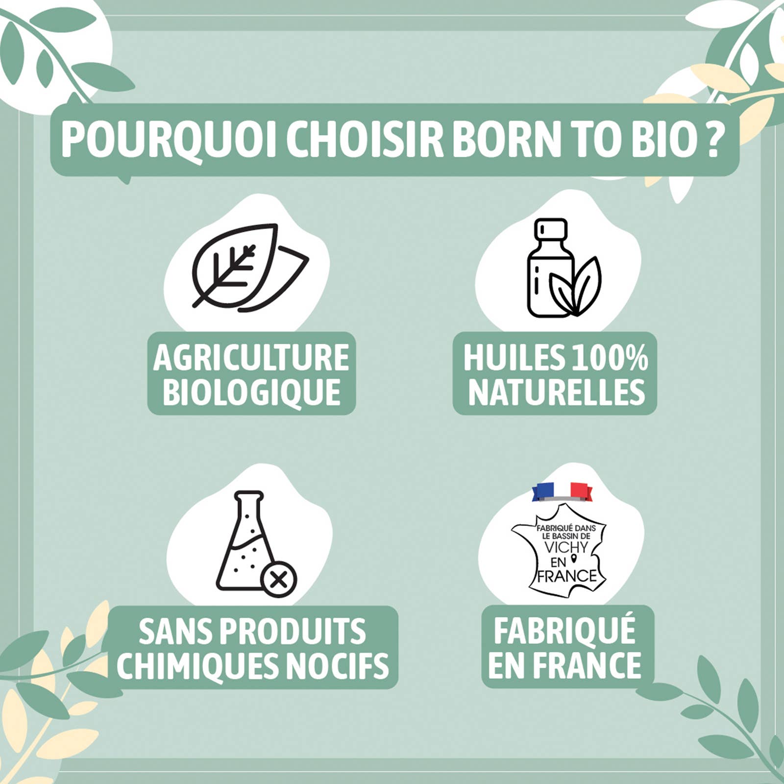 Les Laboratoires Bio Seasons - Wholesale Essential Oil - Eucalyptus essential oil Radie organic 10 ml3