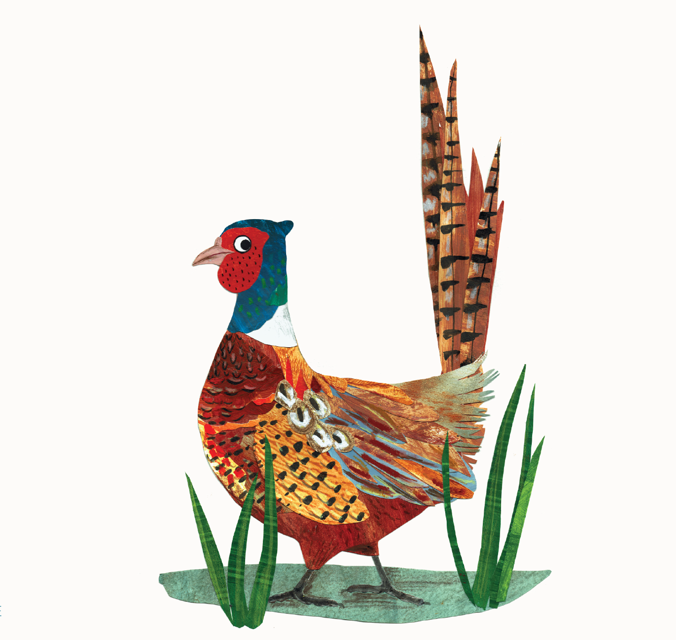 Kate Read Illustration - Wholesale Everyday Greeting Card - Pheasant Greetings Card1
