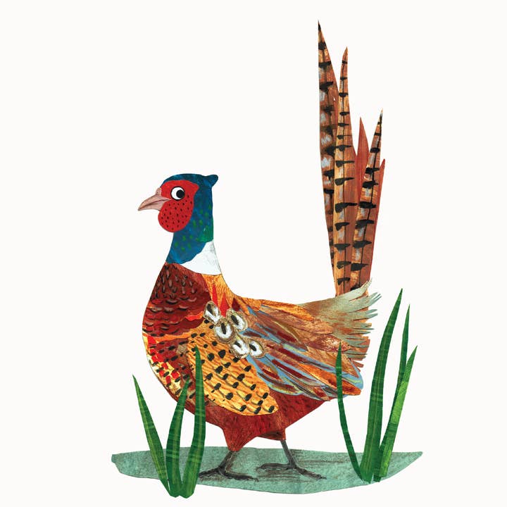 Kate Read Illustration - Wholesale Everyday Greeting Card - Pheasant Greetings Card1