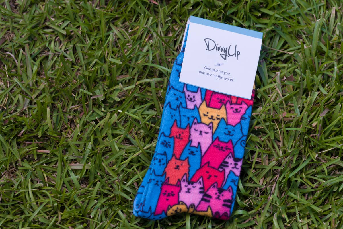 DivvyUp - Wholesale Socks - Unisex - Cat Breeds Socks2