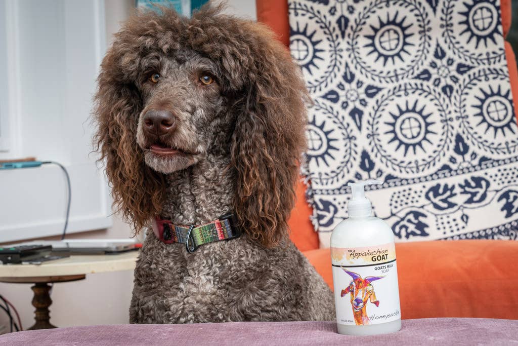 The Appalachian Goat - Wholesale Hand Soap/Wash - 16oz Liquid Soap - Honeysuckle Goats Milk 4