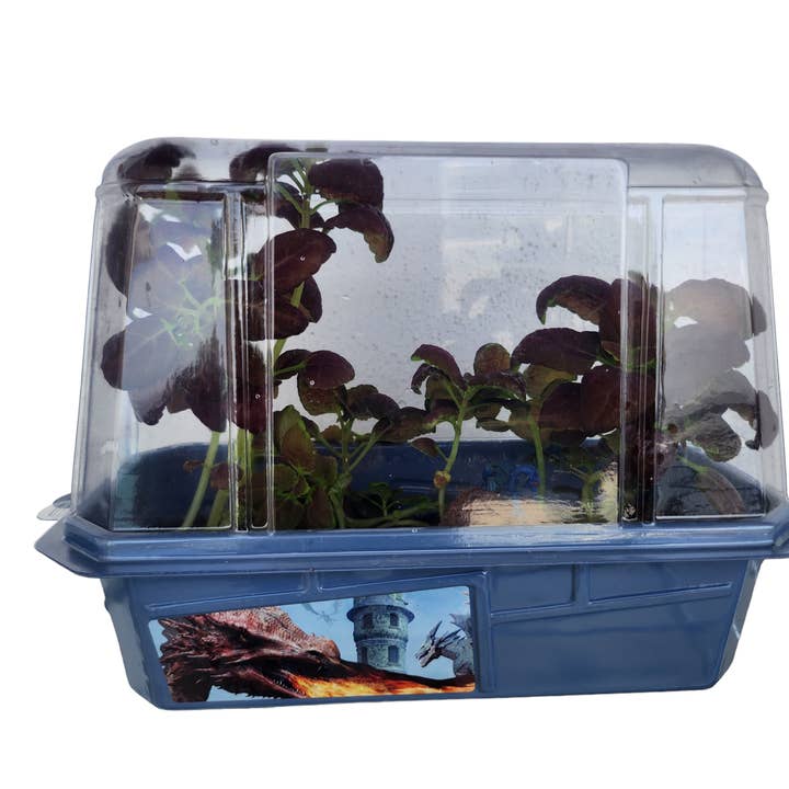 Silver Circle Products - Wholesale DIY Craft Kit - Kids - Dragon's Den Mini World Terrarium2