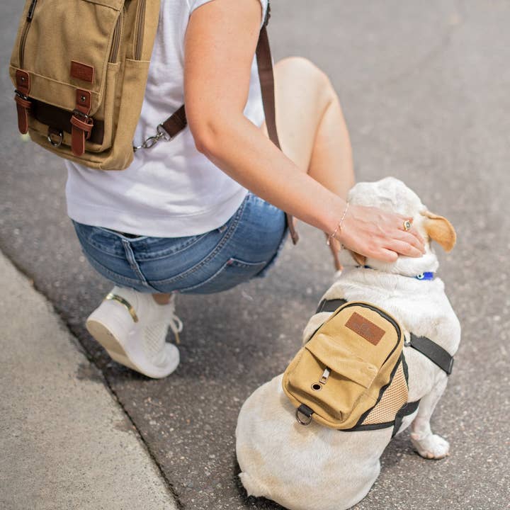 BoxDog - Vente Sac à friandises – chien - Set assorti sac à dos pour chien, sac à dos humain et pochette à friandises0